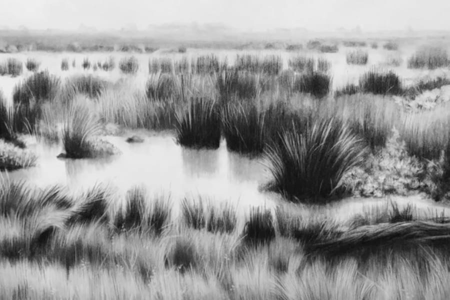 Photo for Ken Mazzu: Wetlands Opening Reception