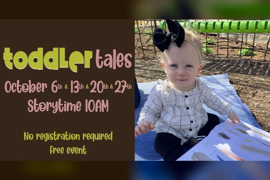 Photo for Toddler Tales at Shangri La