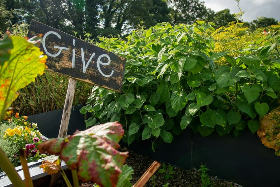 Photo for The Giving Field Second Saturday Garden Workday