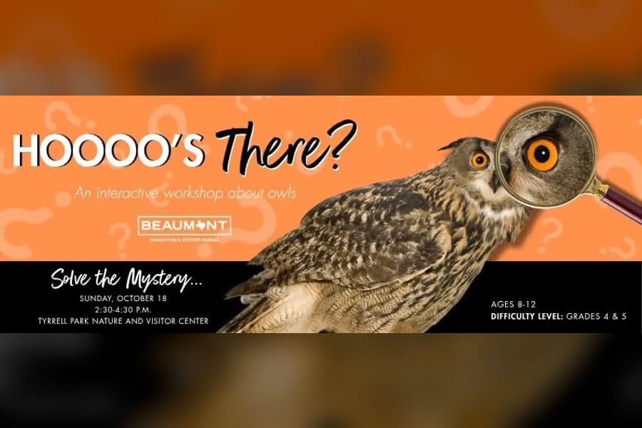 Photo for Hoooo's There? Owl Pellet Workshop for Kids