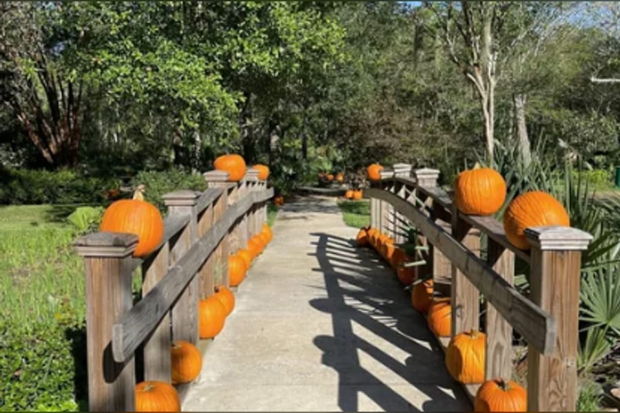 Photo for Ghosts, Goblins and Gardens