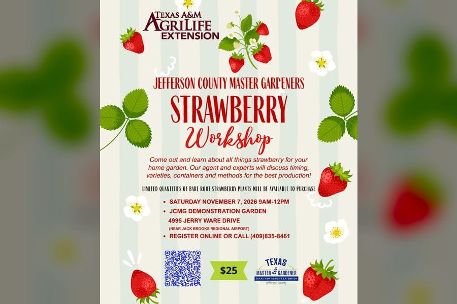 Photo for Strawberry Workshop