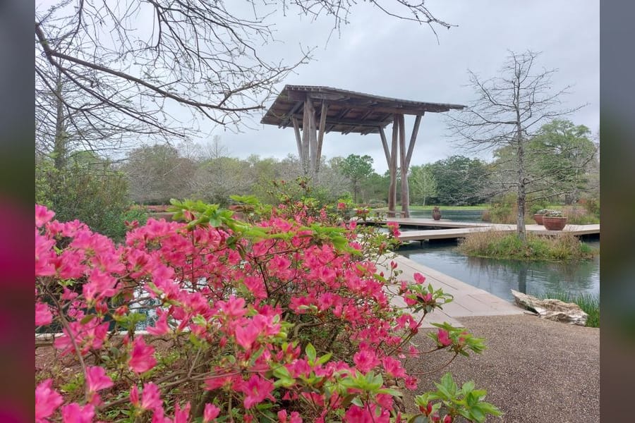 Photo for Wellness Wednesdays at Shangri La